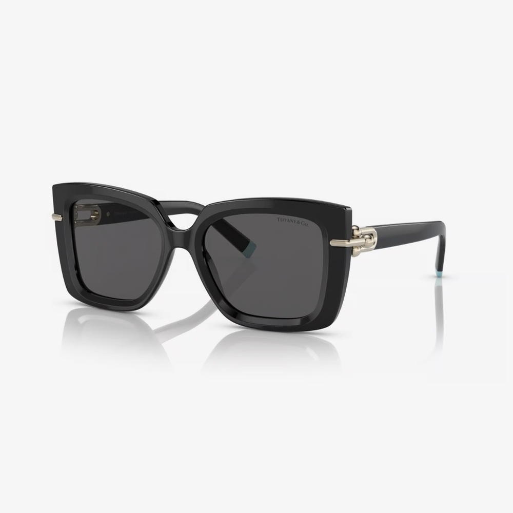 Tiffany &CO
Sunglasses
Never worn no scratches